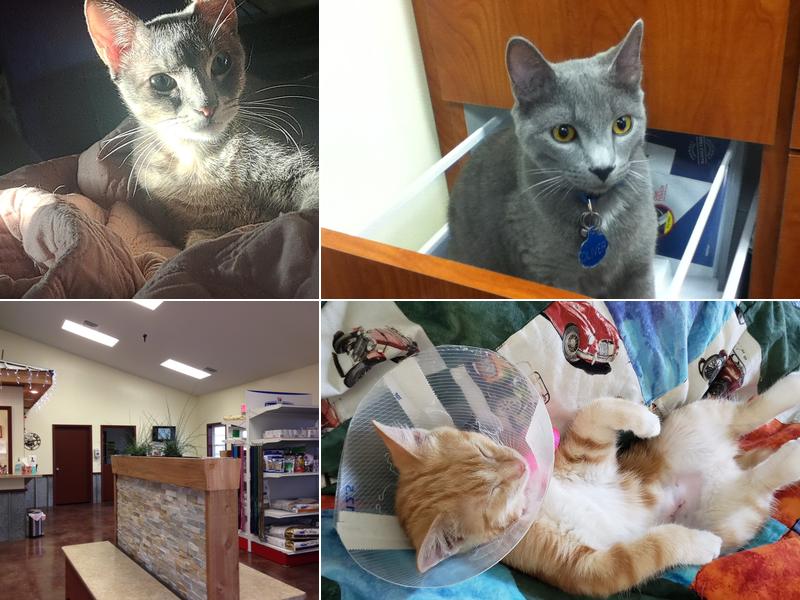 RED BARN VETERINARY SERVICE LLC