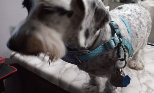 Woodville Veterinary Clinic 21 MS-24, Woodville Mississippi 39669