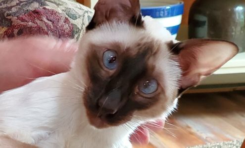 Newbury Veterinary Clinic Newbury