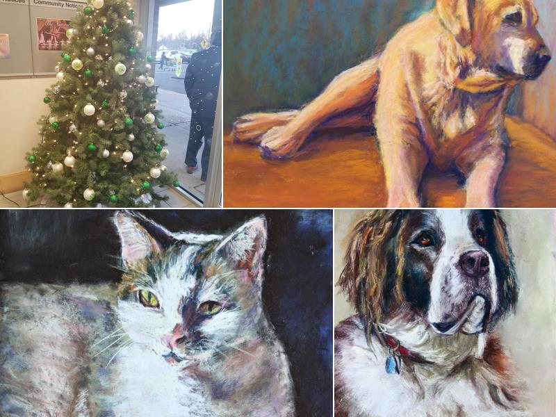 Stirling Veterinary Hospital