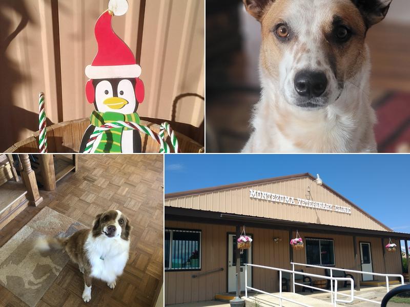 Montezuma Veterinary Clinic