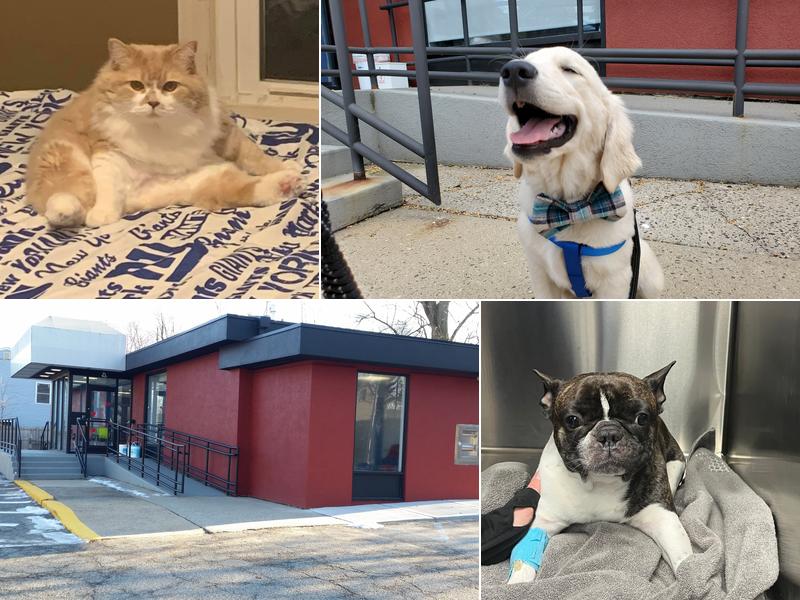 Happy Pets Veterinary Hospital, INC