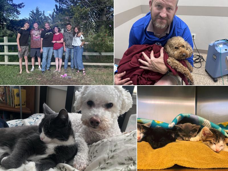 Victor Veterinary Hospital