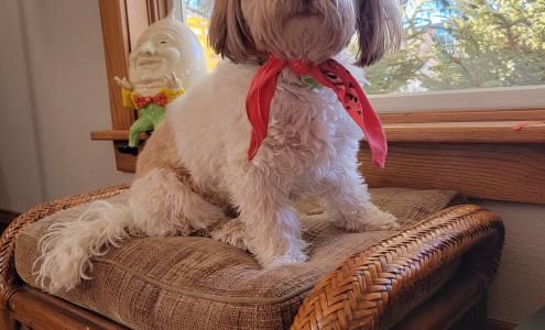 Spring Valley Vet Clinic Spring Valley