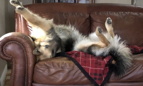 Village Veterinary Hospital 250 Bosque Farms Blvd, Bosque Farms New Mexico 87068