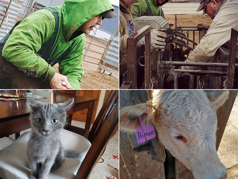 Stock-Aid Veterinary Clinic