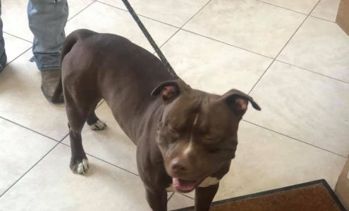 Baltzell David DVM Ogallala