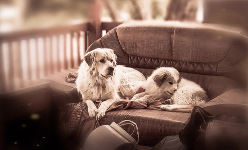 Baltzell Veterinary Hospital Ogallala