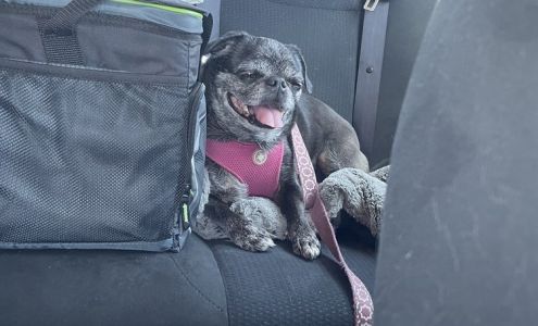 Deming Animal Clinic Deming