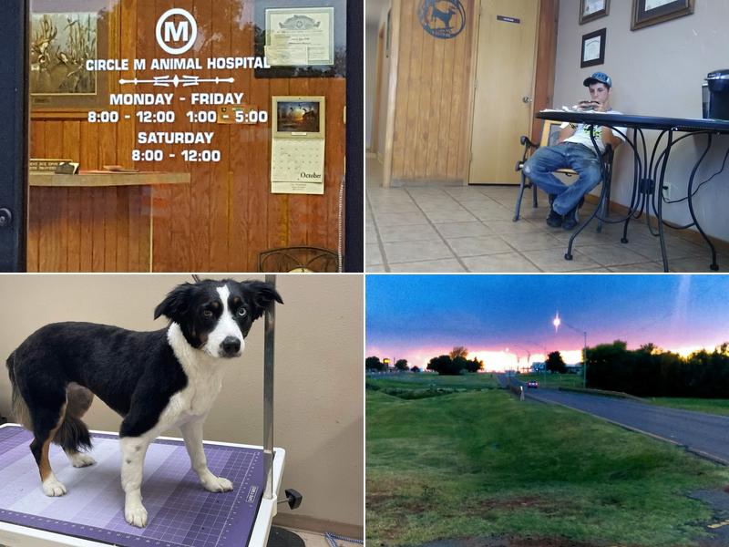 Circle M Animal Hospital