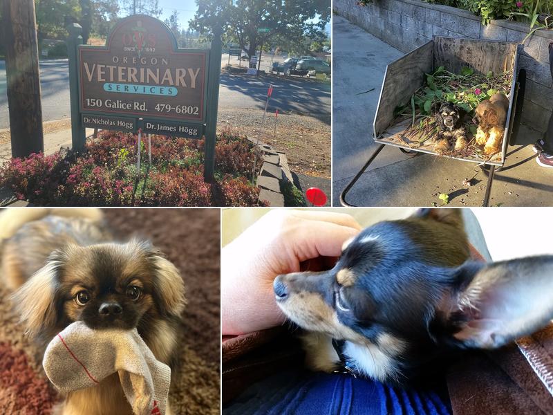 Oregon Veterinary Services Inc