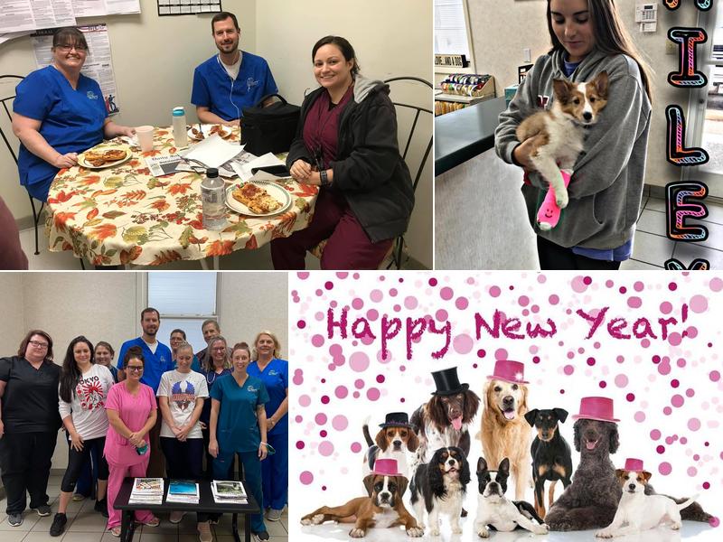 Amory Animal Hospital: Hidalgo David DVM