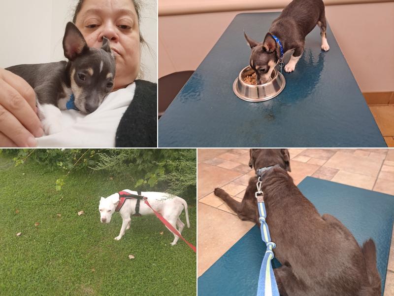 Critical & Emergency Care