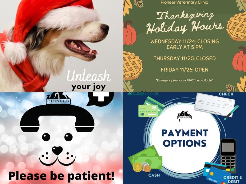 Pioneer Veterinary Clinic: Brown Jennifer DVM