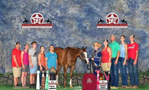 Topline Equine Veterinary Care Glenwood City