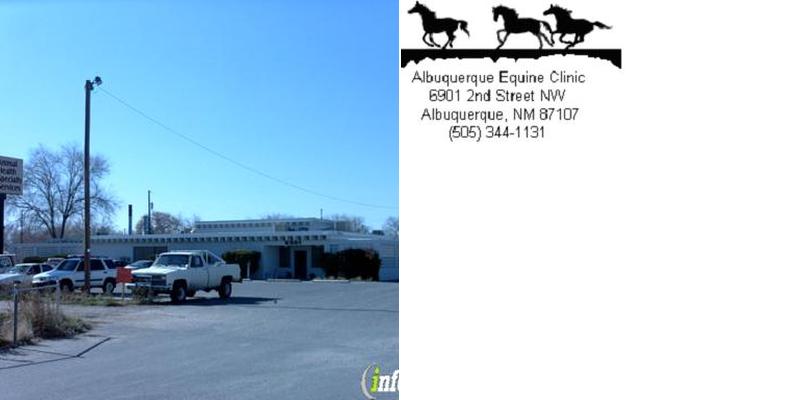 Albuquerque Equine Clinic