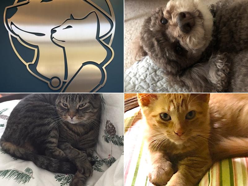 Dr. Aaron Wolff, Dr. Lindsay Dzombar