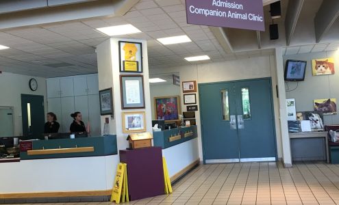 Companion Animal Clinic