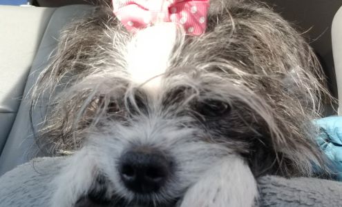 Flint Creek Valley Vet Clinic Philipsburg