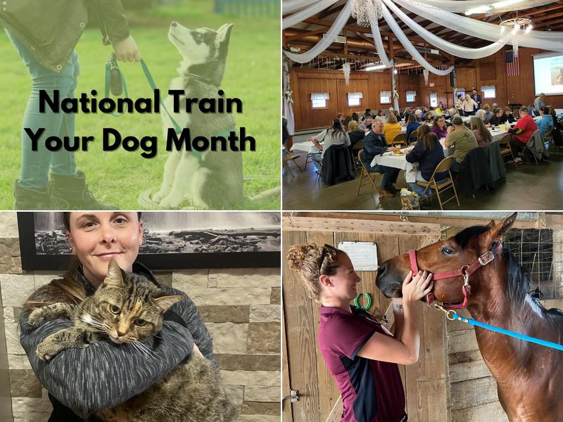 Westview Veterinary Hospital: Stone Michael DVM