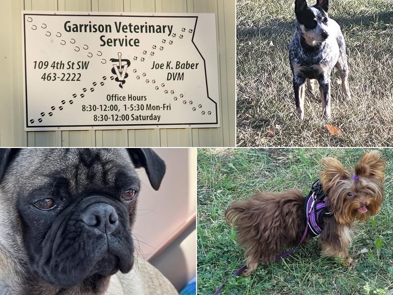 Garrison Veterinary Services