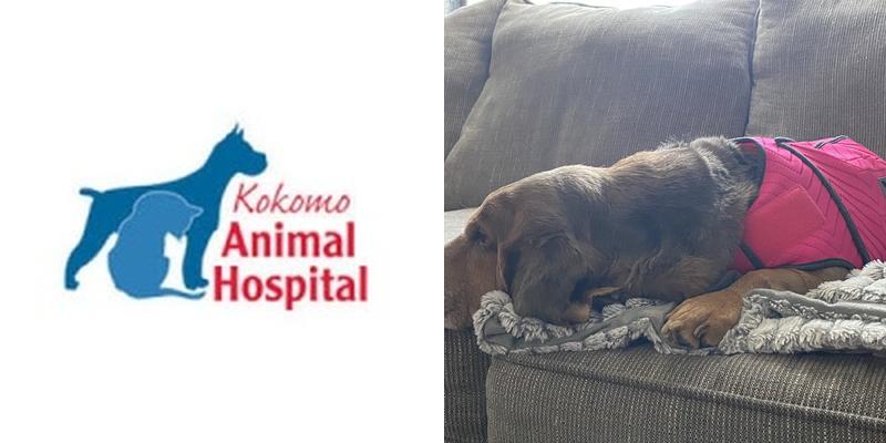 Dr. Adam Vernengo, DVM