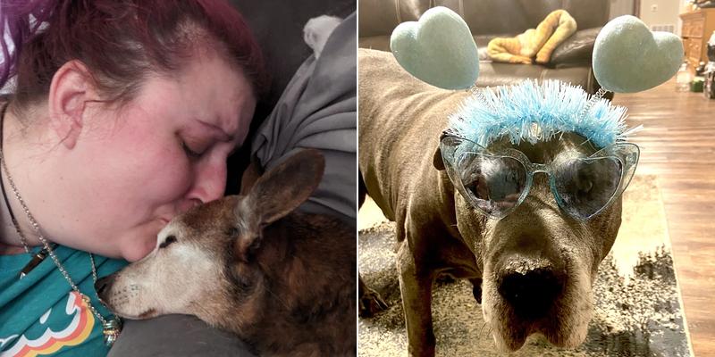 Pawsitive Veterinary Healthcare MOBILE ONLY