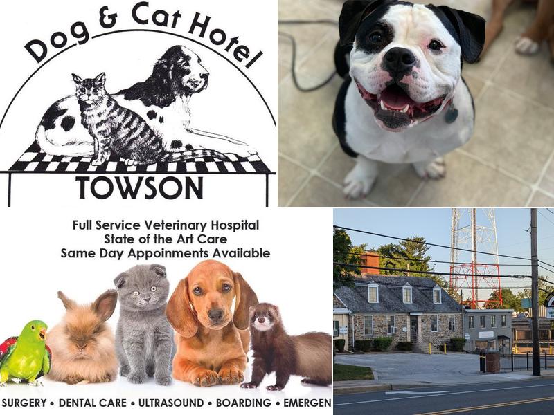 Towson Veterinary Hospital Inc