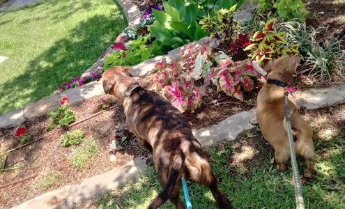 San Saba Animal Hospital 608 N High St, San Saba Texas 76877