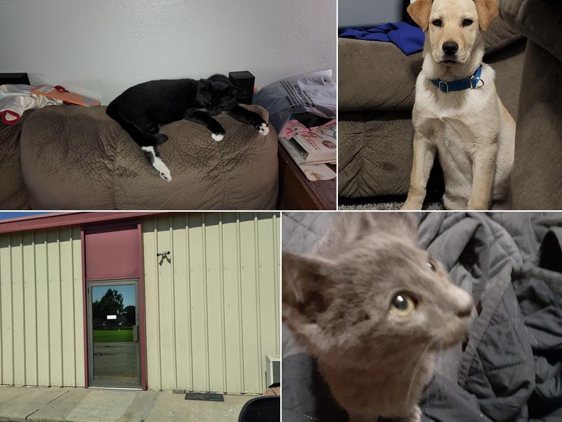 Ponca Animal Hospital