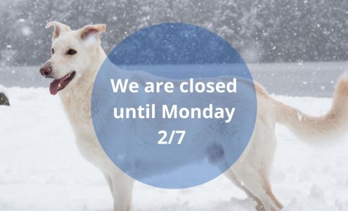 Paw Prints Ltd Veterinary Hospital