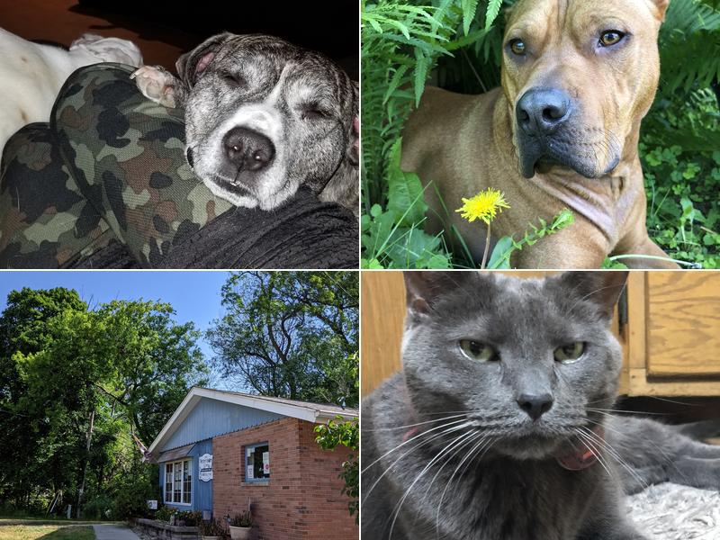 Port Veterinary Clinic