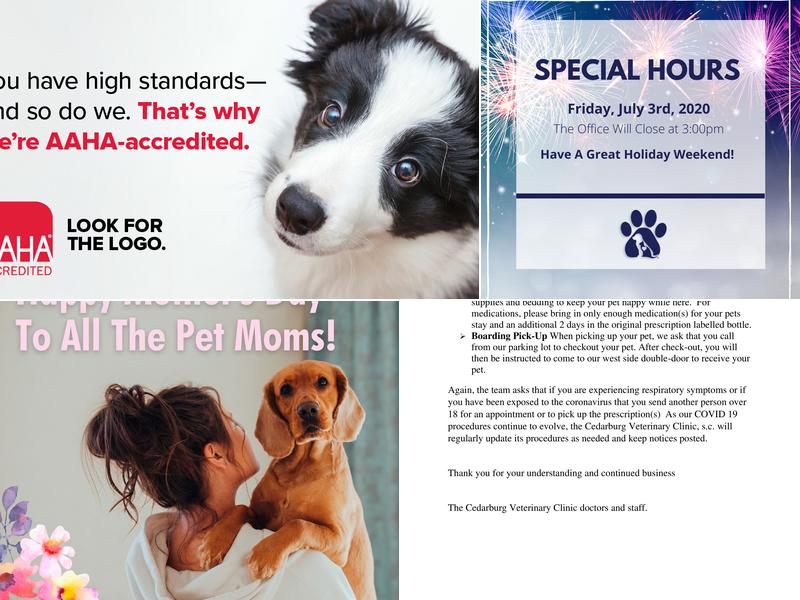 Cedarburg Veterinary Clinic: Kozminski Jill DVM