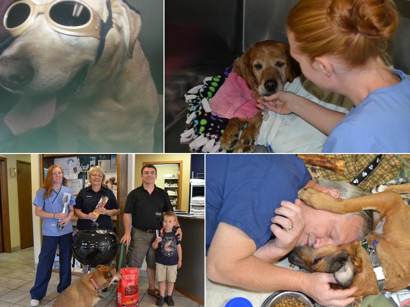 Dr. Nicholas Wagner, DVM