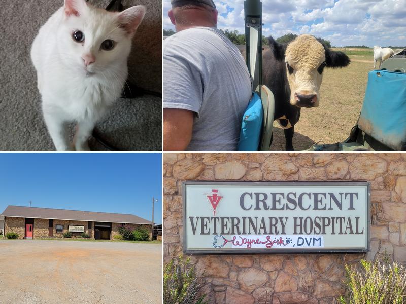 Crescent Veterinary Hospital