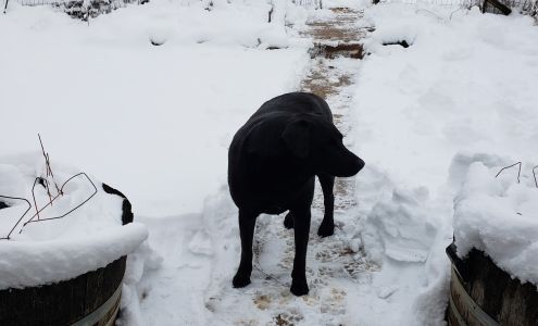 Ellsworth Animal Hospital, LLC Ellsworth