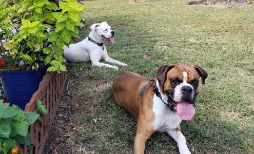 Greenbush Veterinary Clinic Greenbush