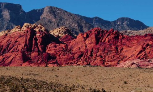 Town Center Animal Hospital