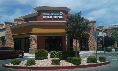 Blue Diamond Animal Hospital