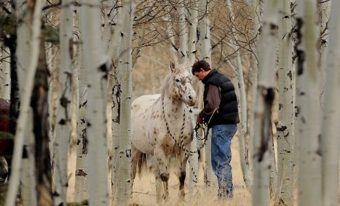 Stubblefield Britt DVM Cañon City