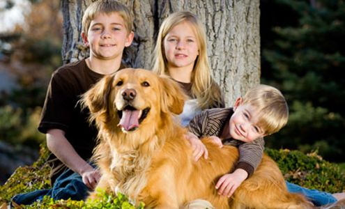 Eskridge Veterinary Clinic Cañon City