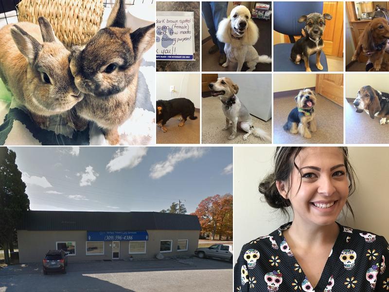 Yerkey Veterinary Services