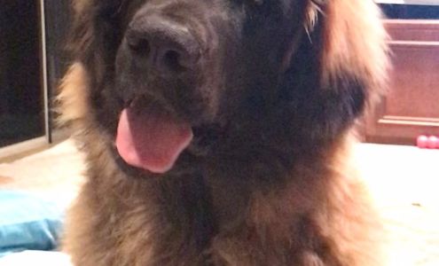 Bluffton Veterinary Hospital: Conley Chistopher DVM Bluffton