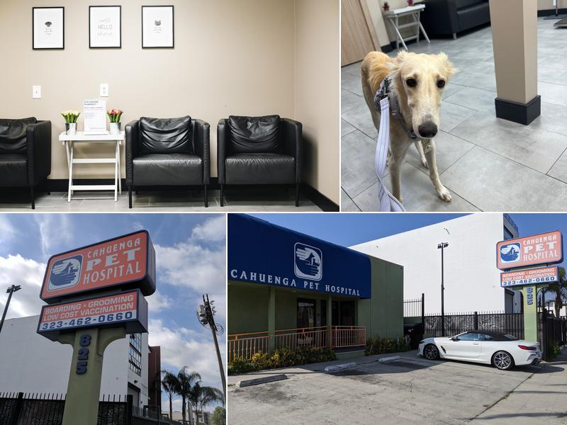 Cahuenga Veterinary Hospital