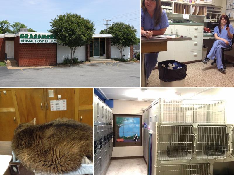 Grassmere Animal Hospital PC: Brumbelow Cindy DVM