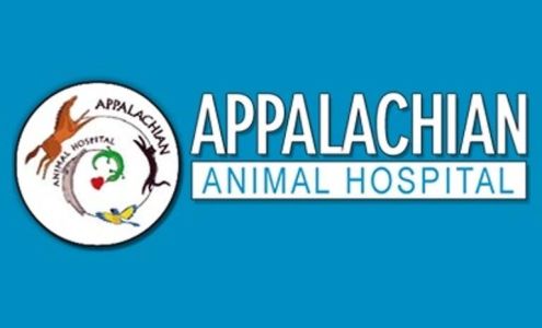 Lakeview Animal Hospital
