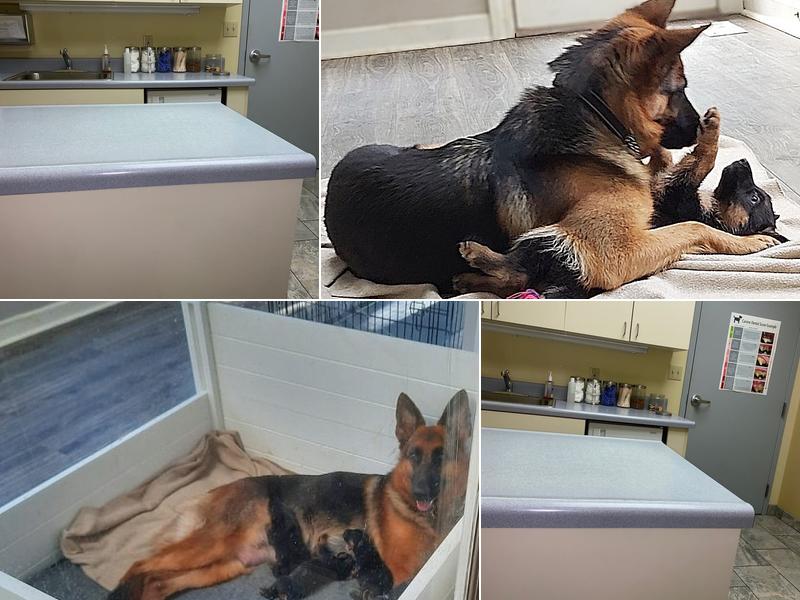 Dr. Gerald Blackburn