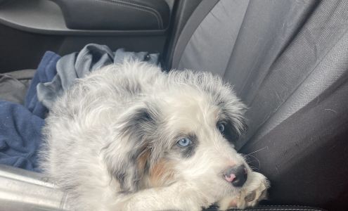 Loup City Animal Clinic Loup City