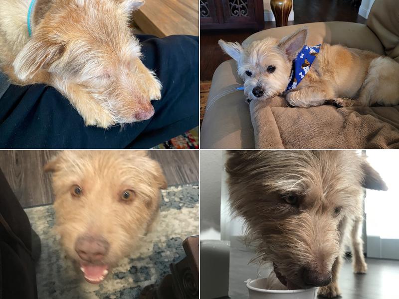 Arbor Hills Veterinary Centre