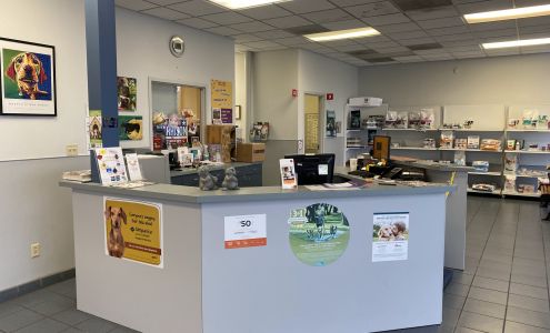 Elite Animal Hospital